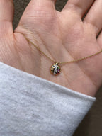 Collar Lady Bug