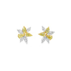 Aretes Cassira · Diamantes Amarillos y Blancos Oro Blanco 18k